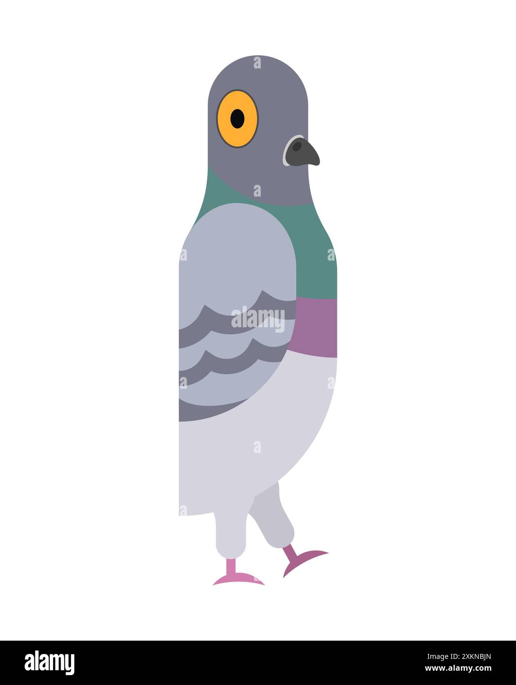 Cartoon Pigeon isolated. Dove funny Vector illustration Stock Vector