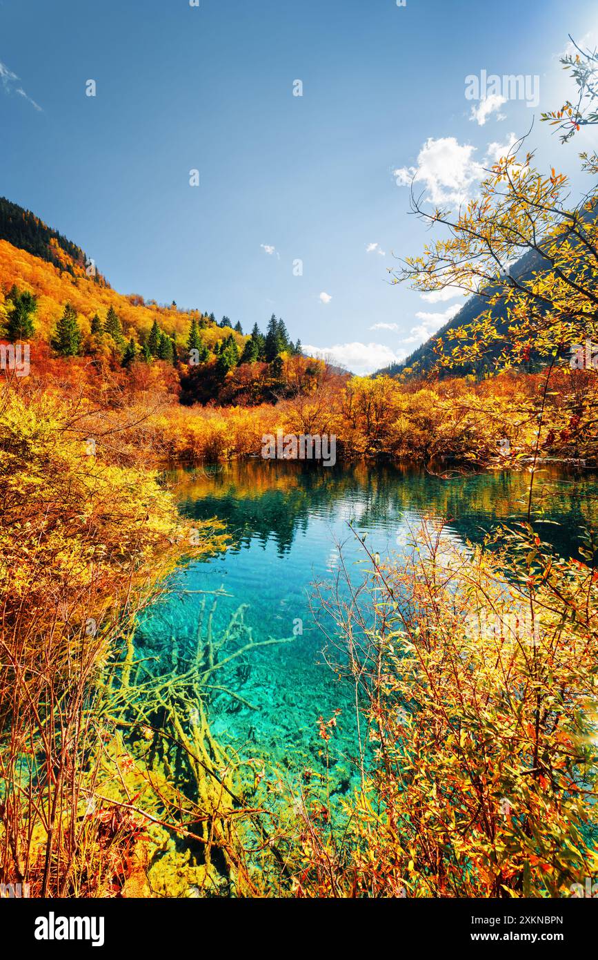 Azure pond hi-res stock photography and images - Alamy