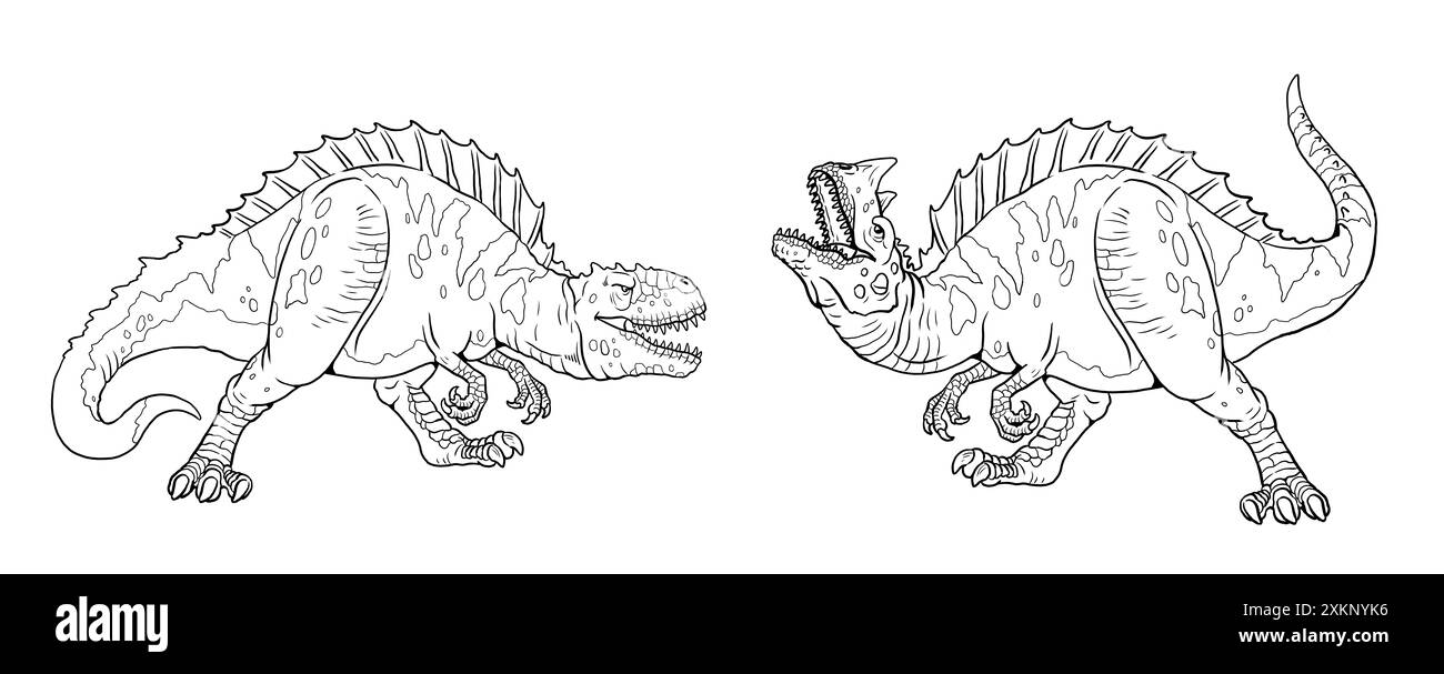 Fighting predatory dinosaurs. Dinosaur template for coloring. Stock Photo