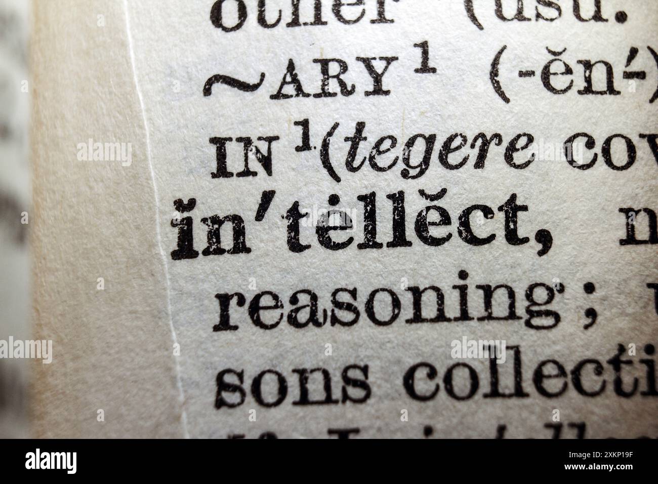 Word intellect on dictionary page, macro close-up Stock Photo