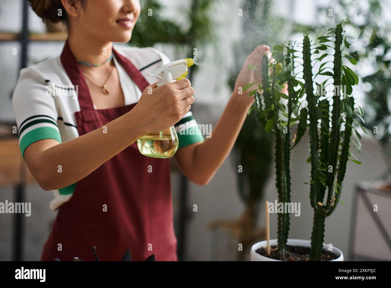 A young Asian woman in a red apron gently waters a plant at her plant ...