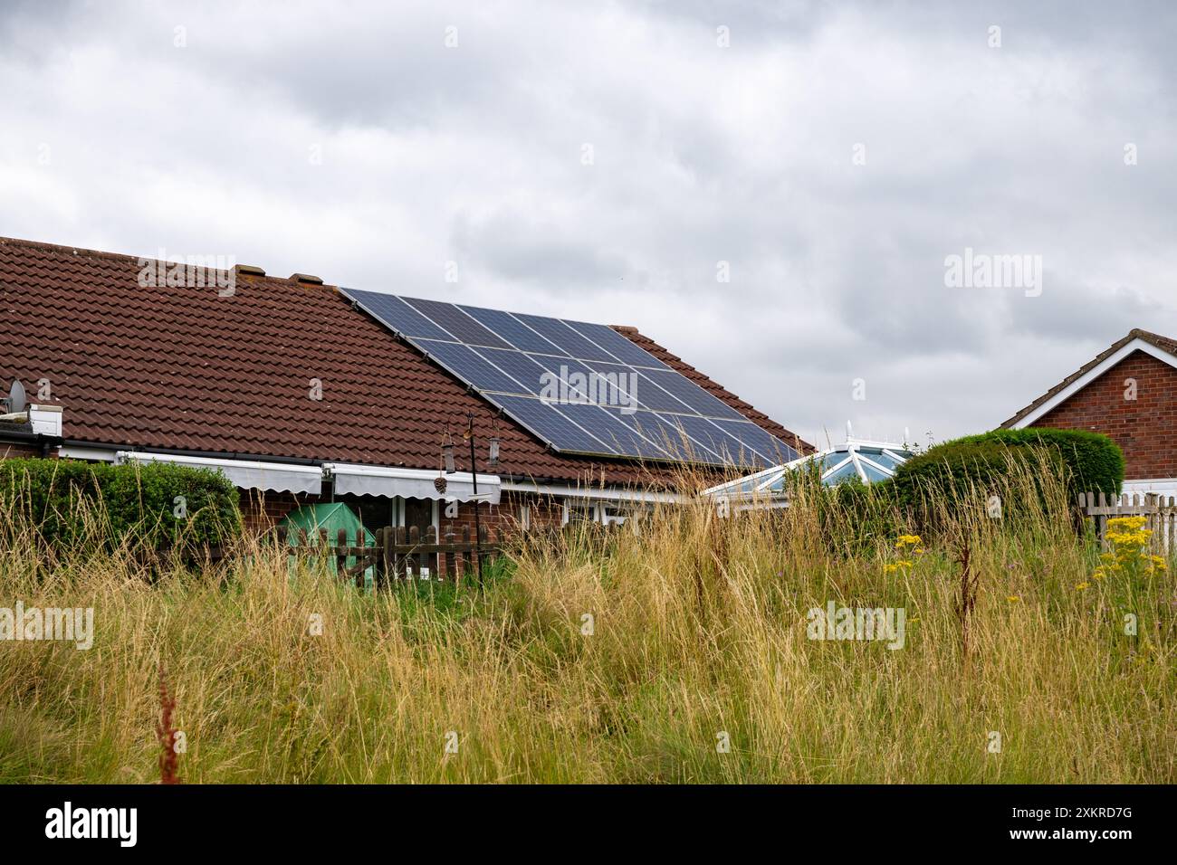 Solar panels on the red-tiled roof of a bungalow as seen from an area of wasteland covered in long grass. Stock Photo