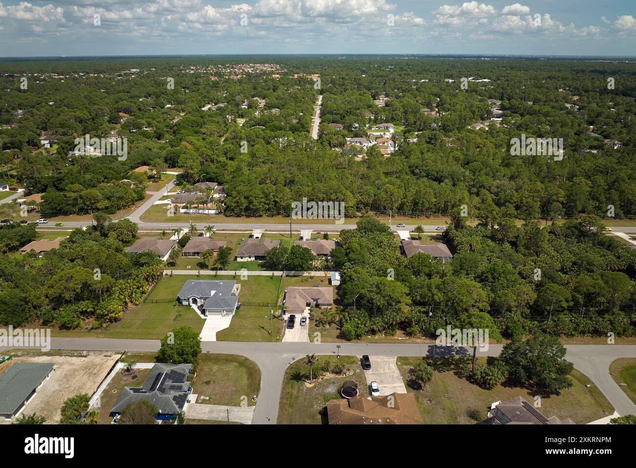Aerial landscape view of suburban private houses between green palm ...