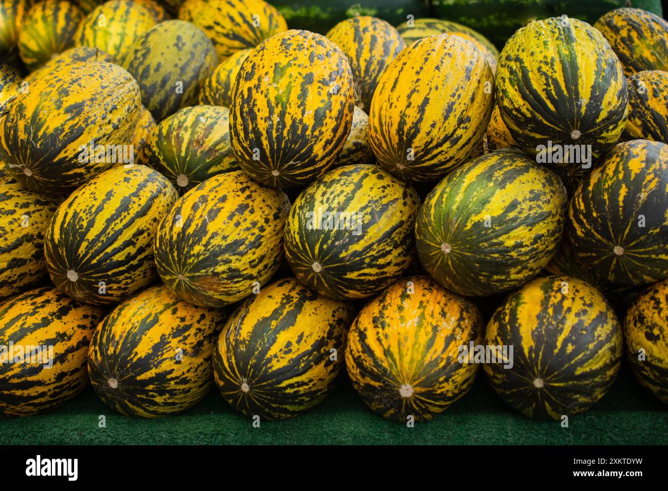 Beautiful tasty ripe melons at the market Stock Photo - Alamy