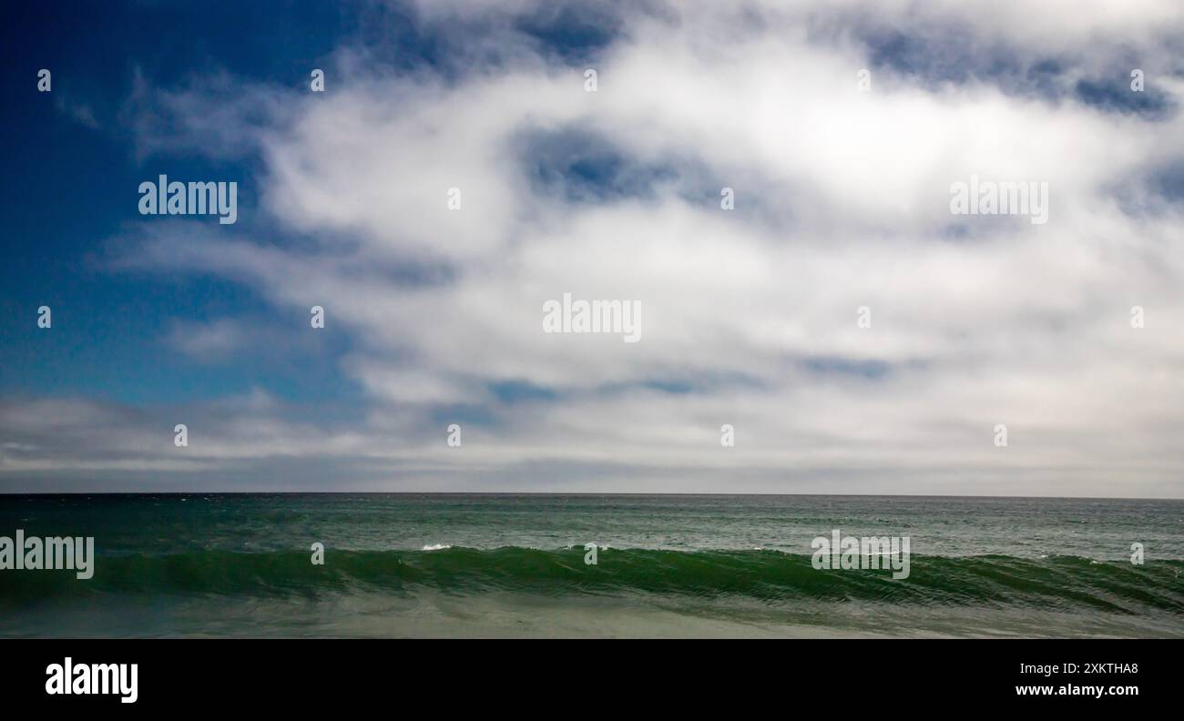 Limontour Beach along Point Reyes National Seashore in Marin County features a wide sandy beach, dunes, and a scenic Pacific Ocean view. - Stock Image