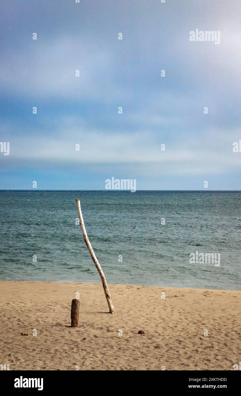 Limontour Beach along Point Reyes National Seashore in Marin County features a wide sandy beach, dunes, and a scenic Pacific Ocean view. - Stock Image