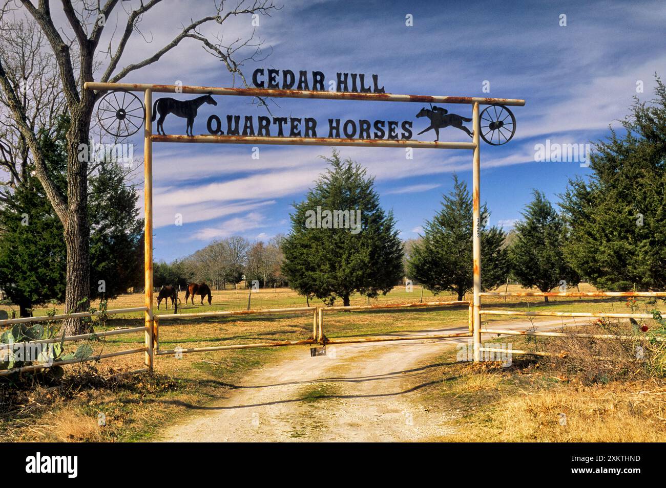 Madison Tx Madison county texas hi-res stock photography and images - Alamy