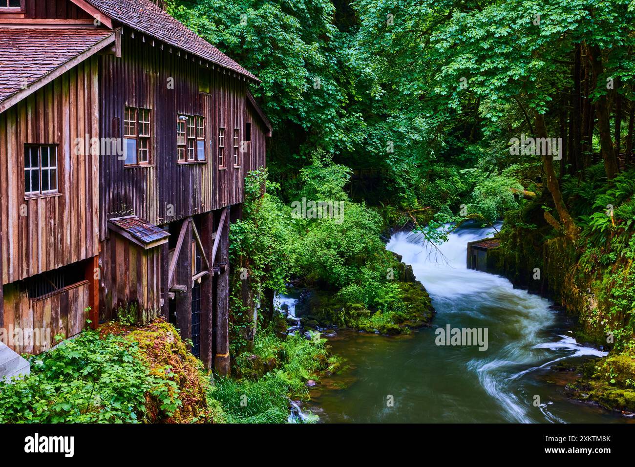 Old Wooden Mill House Over Rapid River in Lush Forest Eye-Level Perspective Stock Photo