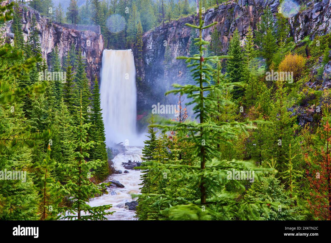 Tumalo Falls in Lush Deschutes Forest with Rugged Cliff and Misty Flow ...