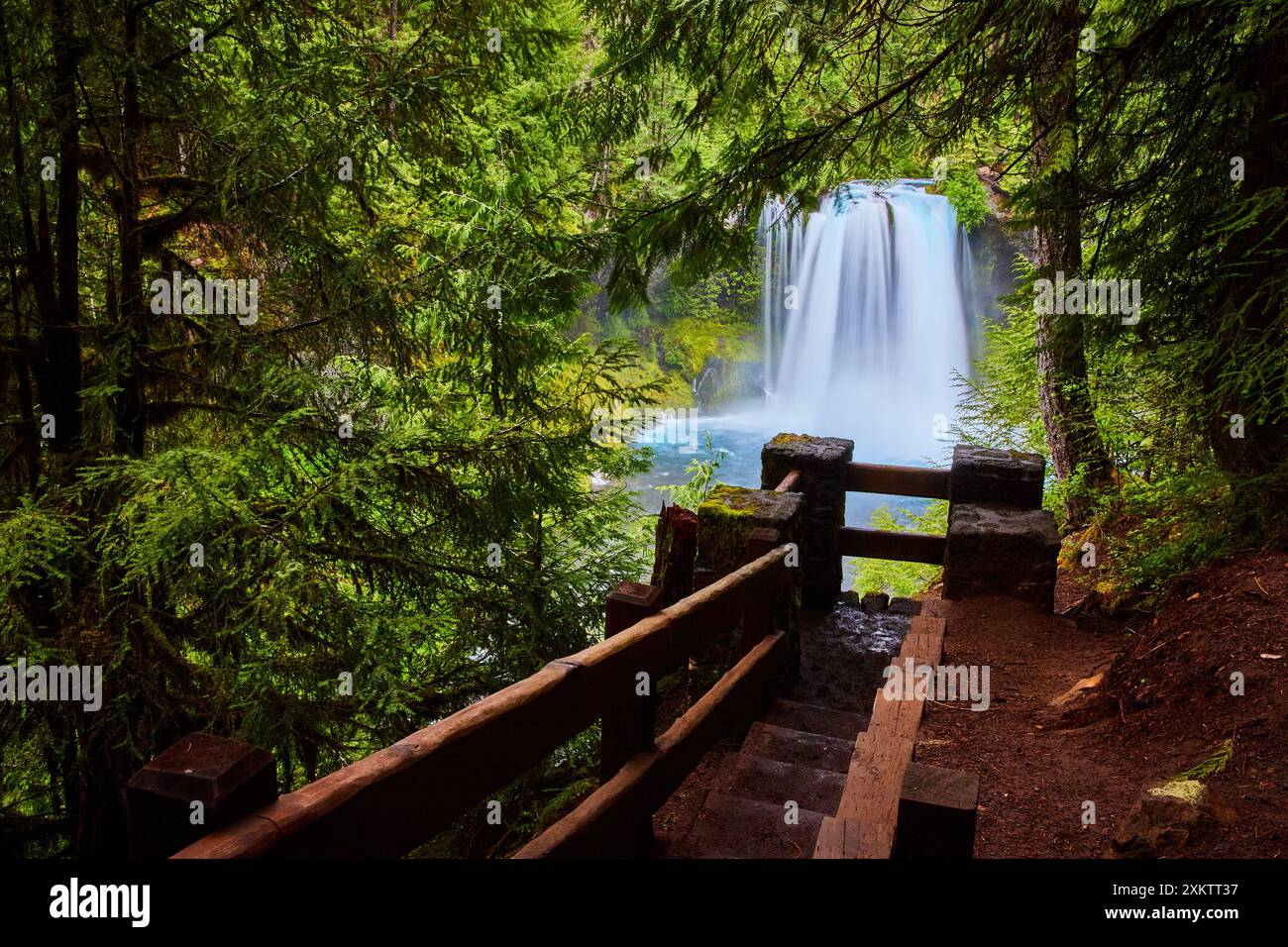 Waterfall mckenzie river trail hi-res stock photography and images - Alamy