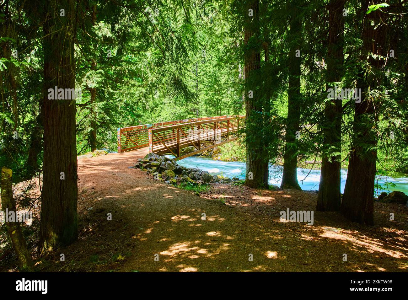 Rustic Wooden Bridge Over River in Lush Forest Eye Level Stock Photo ...