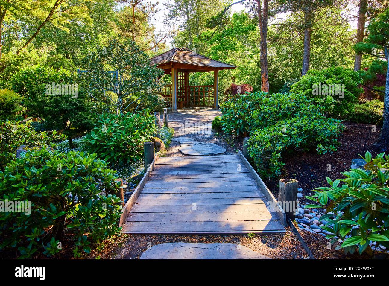 Serene Wooden Pathway Leading to Gazebo in Lush Garden at Eye Level Stock Photo