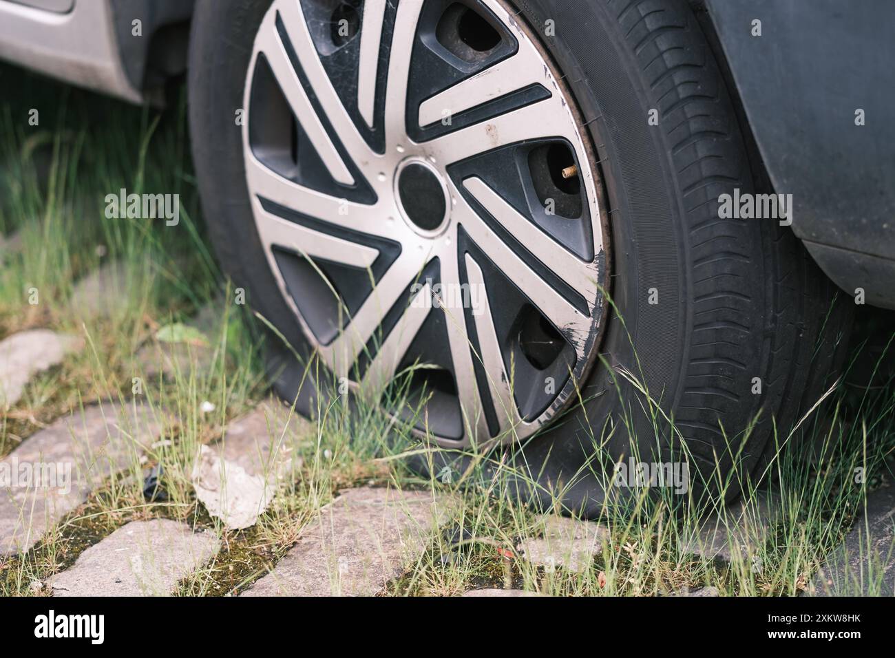 Old car overgrown by plants hi-res stock photography and images - Alamy