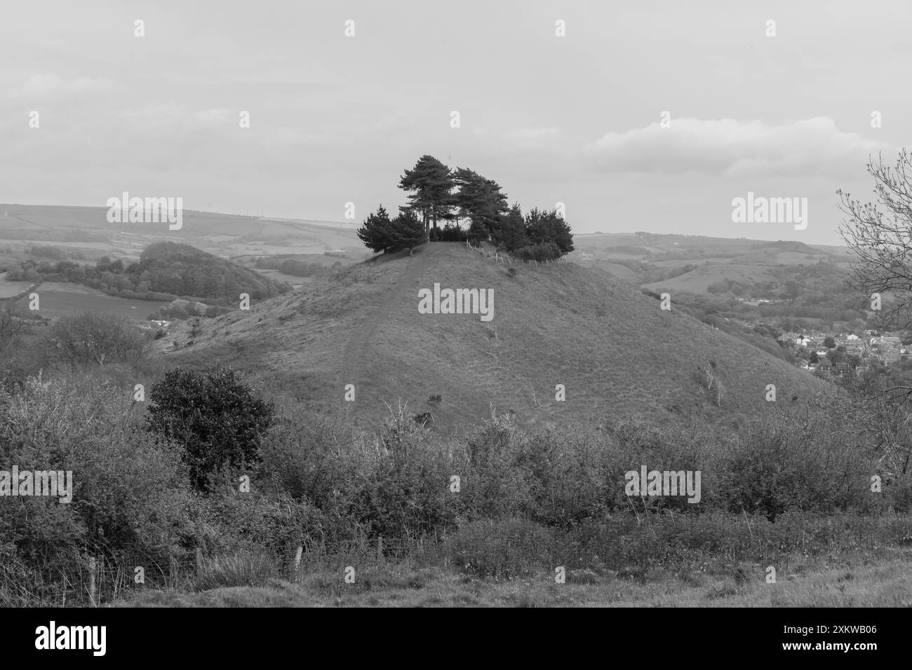 Landscape photo of Colmers hill in Dorset Stock Photo - Alamy