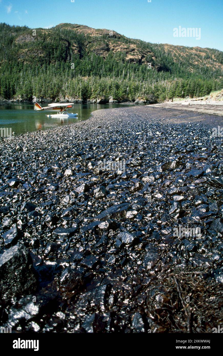 Oil spill damage pollution hi-res stock photography and images - Alamy