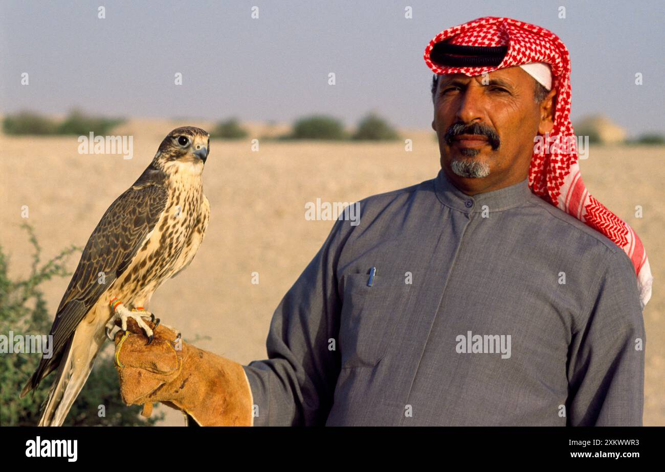 Bedouin man - falconry Stock Photo - Alamy