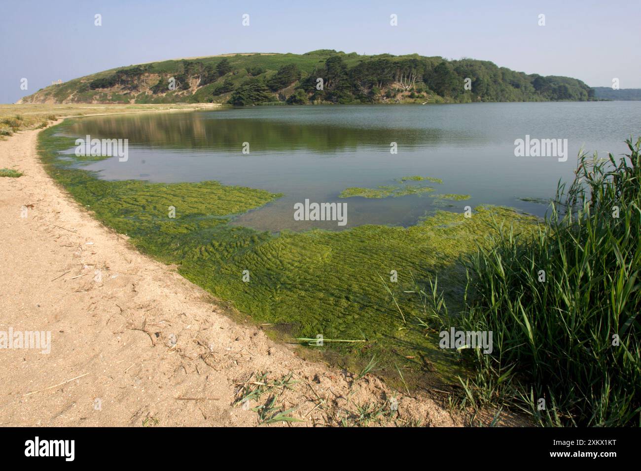 New ways to look at stream health – @theU, image size:1300x956