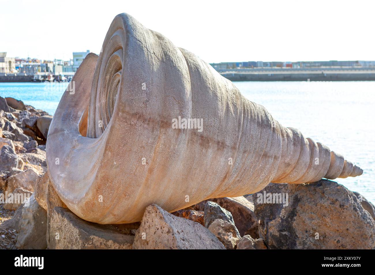 Large shell is sitting on a pile of rocks at the ocean shore. Seashell ...