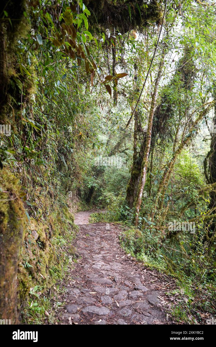 Inka trail hi-res stock photography and images - Alamy
