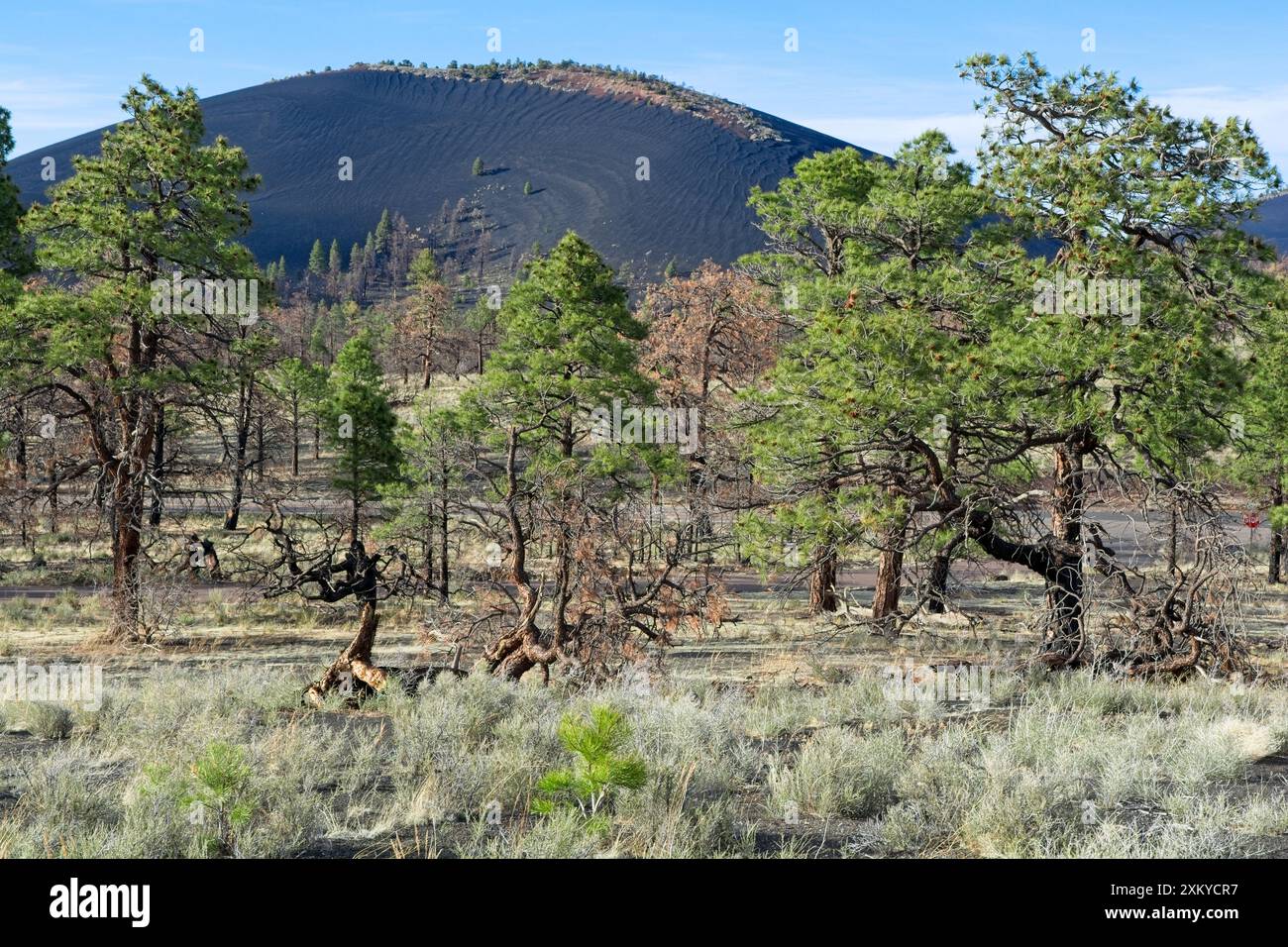 Lava rock forming hi-res stock photography and images - Alamy