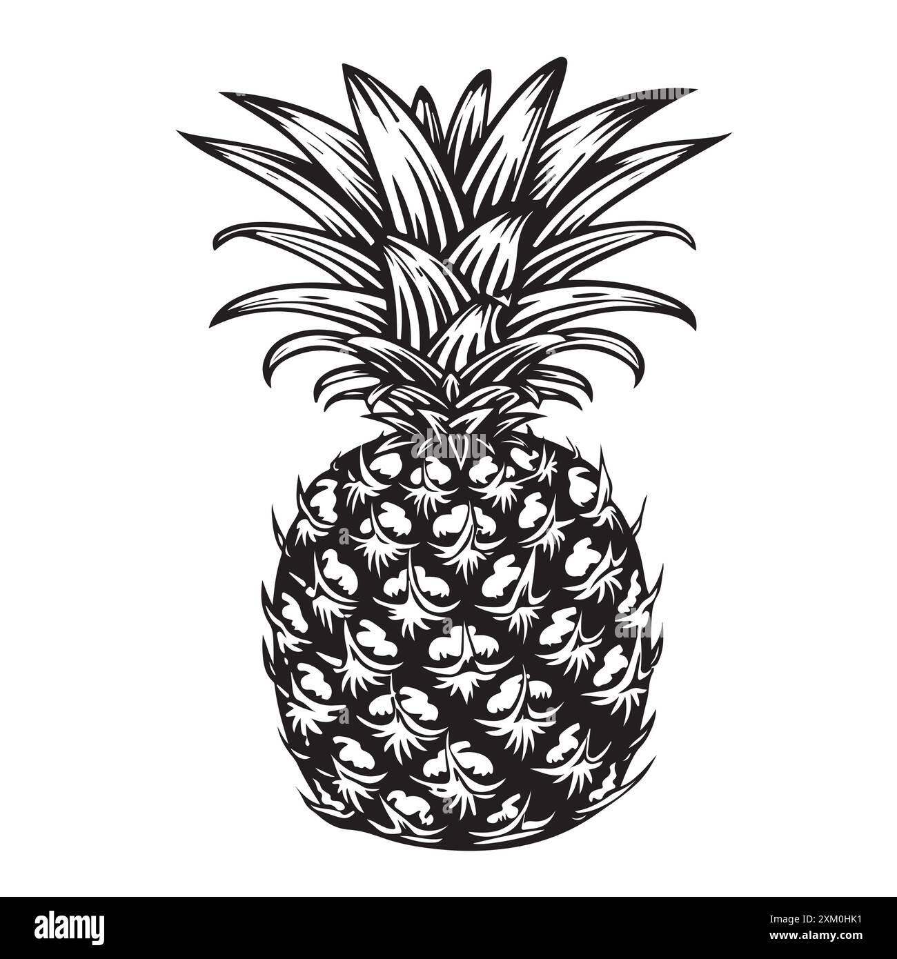 Image Of Pineapple Fruit Vector Black And White Illustration Stock Vector Image And Art Alamy 4122