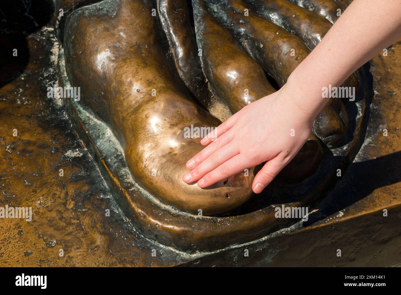 Big Toe On Foot