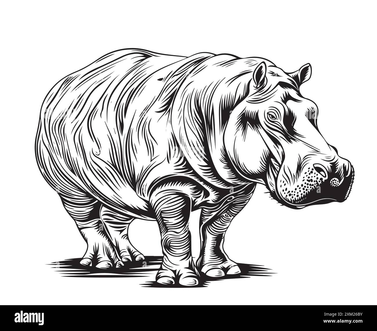 Black And White Engrave Isolated Hippo Vector Illustration Stock Vector black-and-white-engrave-isolated-hippo-vector-illustration-stock-vector