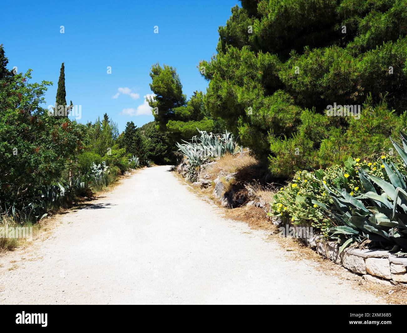 Path through Marjan Forest Park on the Marjan Peninsula Split Dalmatia Croatia Stock Photo