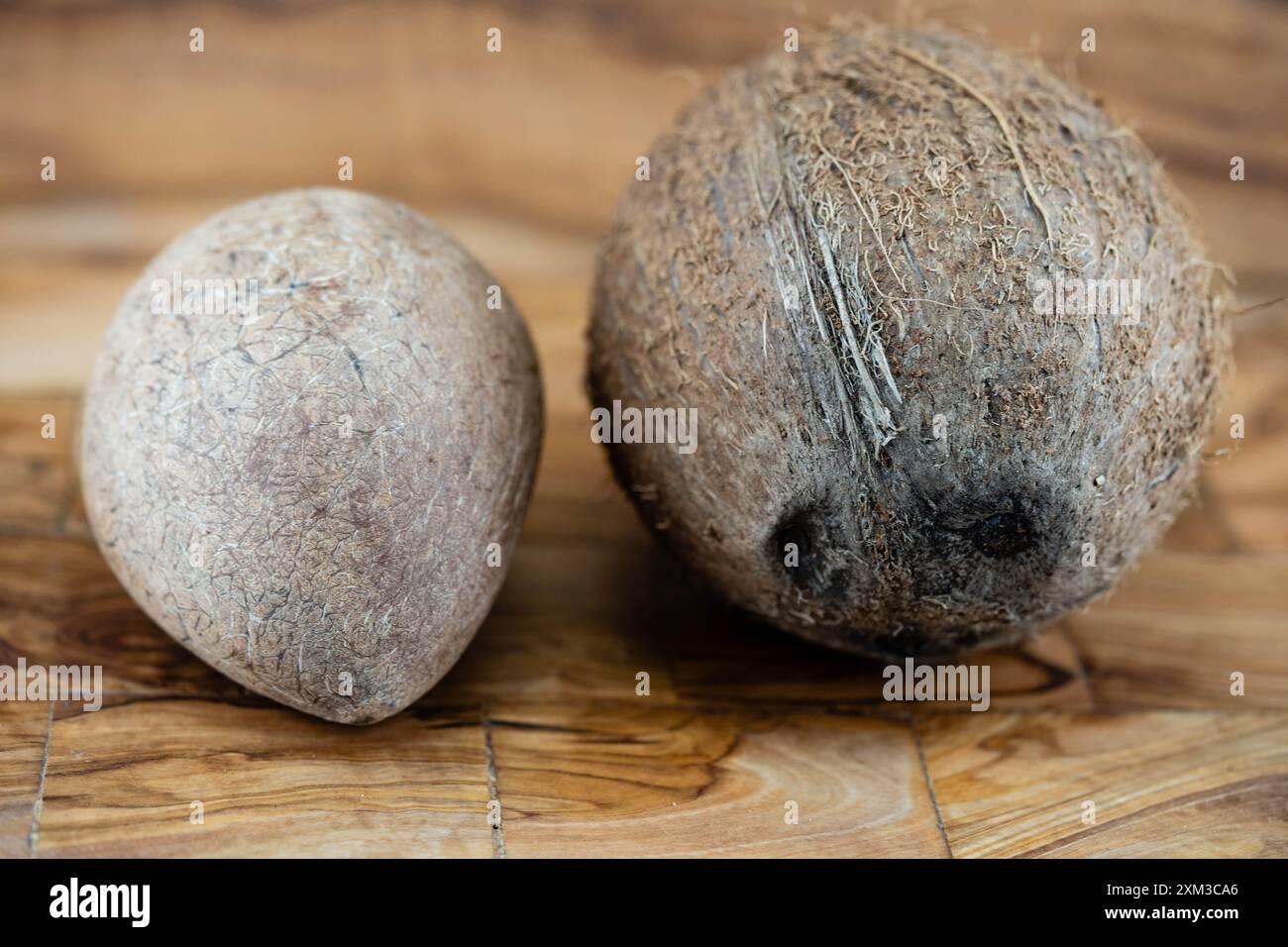 Copra dried pulp and ropes made from fibers of the coconut Cocos ...