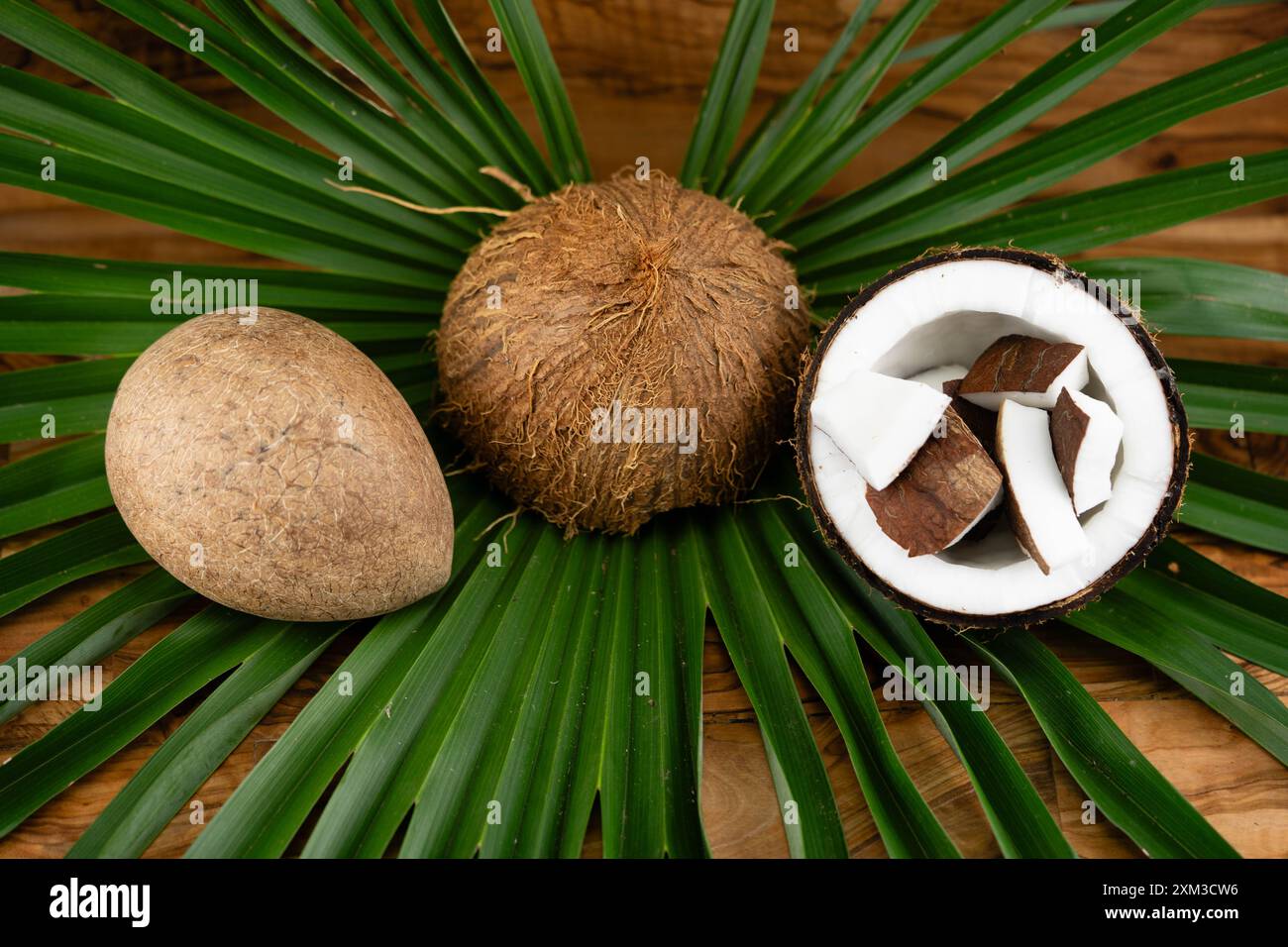 Copra dried pulp and ropes made from fibers of the coconut Cocos ...