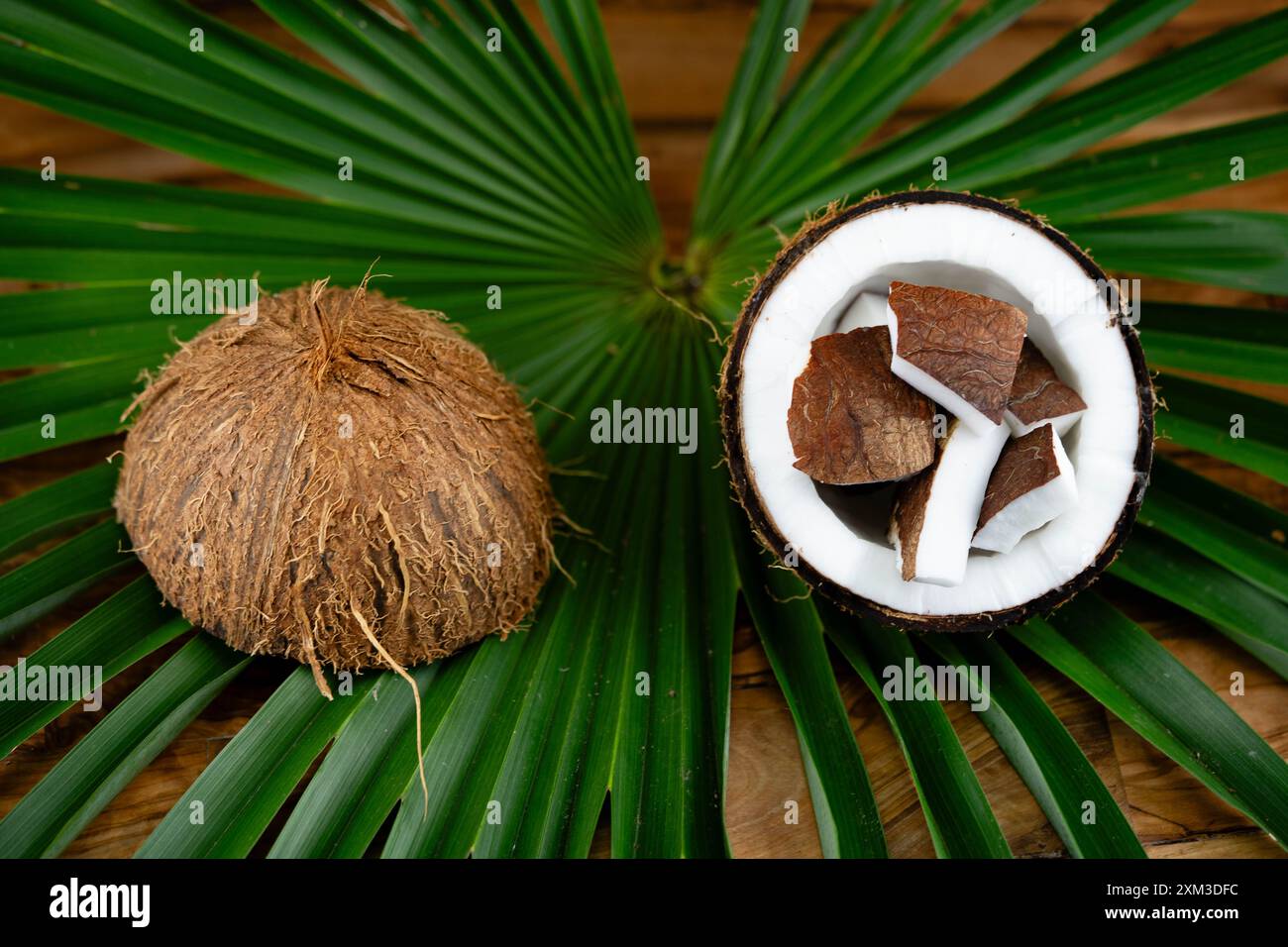 Copra dried pulp and ropes made from fibers of the coconut Cocos ...
