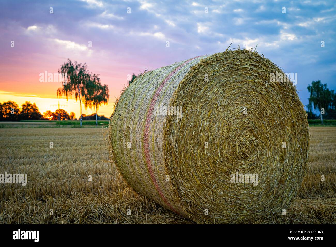 Strohernte - ein runder Strohballen vor malerischem Sonnenuntergang im Hintergrund. Erntezeit - runde Strohballen liegen auf einem Stoppelacker mit orangem Sonnenuntergang im Hintergrund. Region Weser-Ems Niedersachsen Deutschland *** Straw harvest a round bale of straw in front of a picturesque sunset in the background harvest time round bales of straw lie on a stubble field with an orange sunset in the background Weser Ems region Lower Saxony Germany Stock Photo