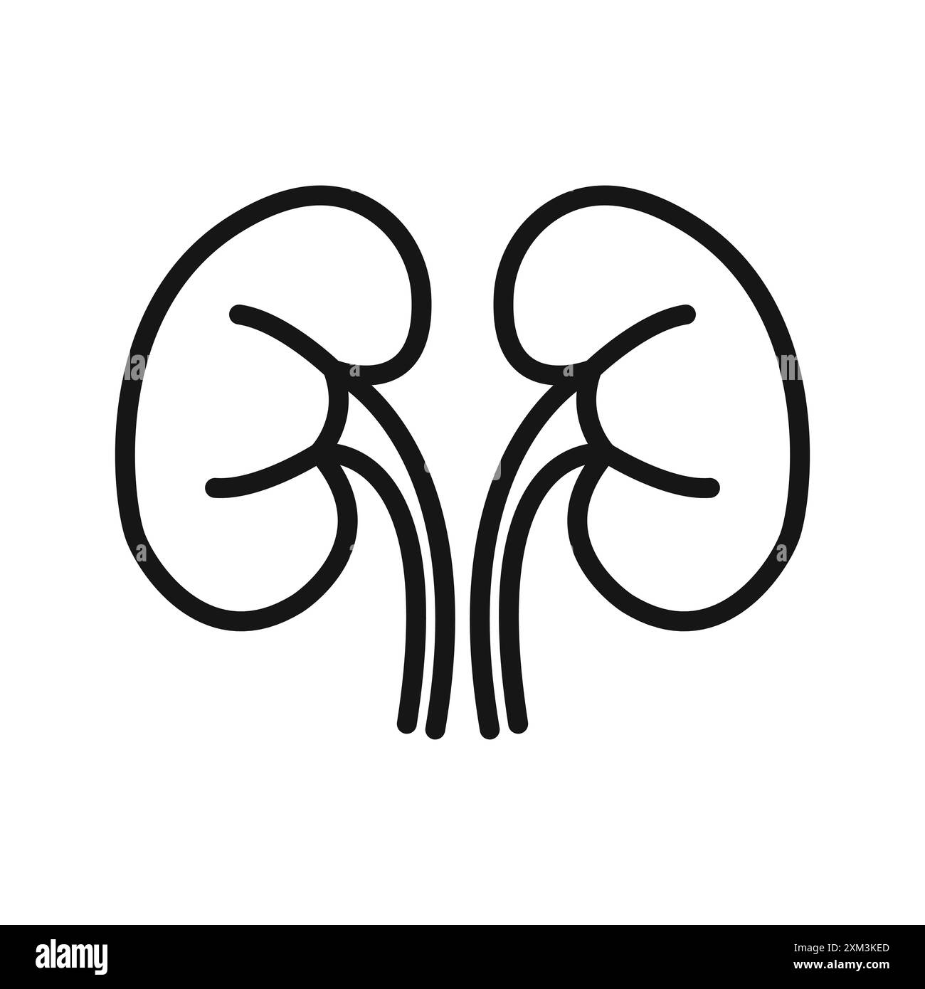 gabapentin kidneys dogs