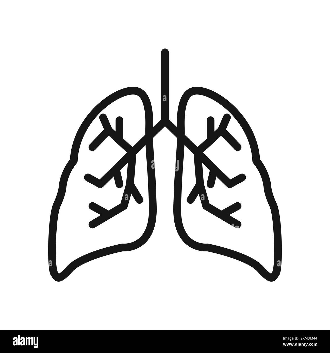 Human lungs icon Black line art vector in black and white outline set ...