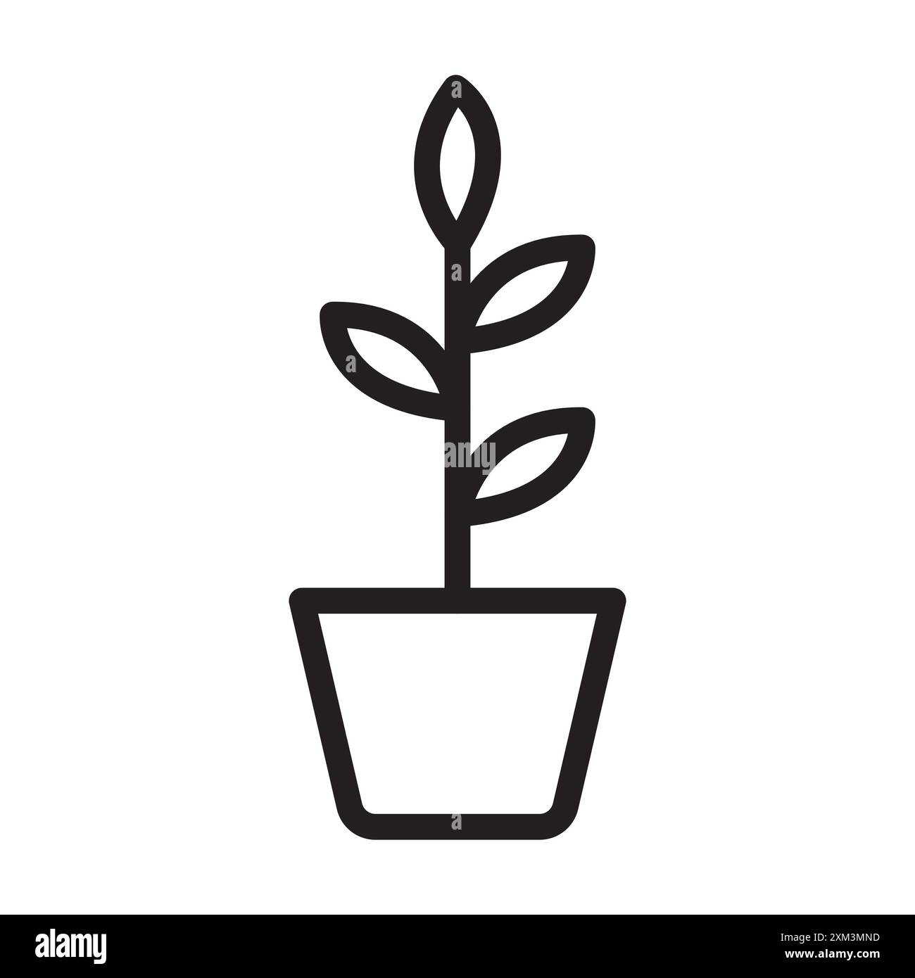 indoor plant inside house icon Black line art vector in black and white