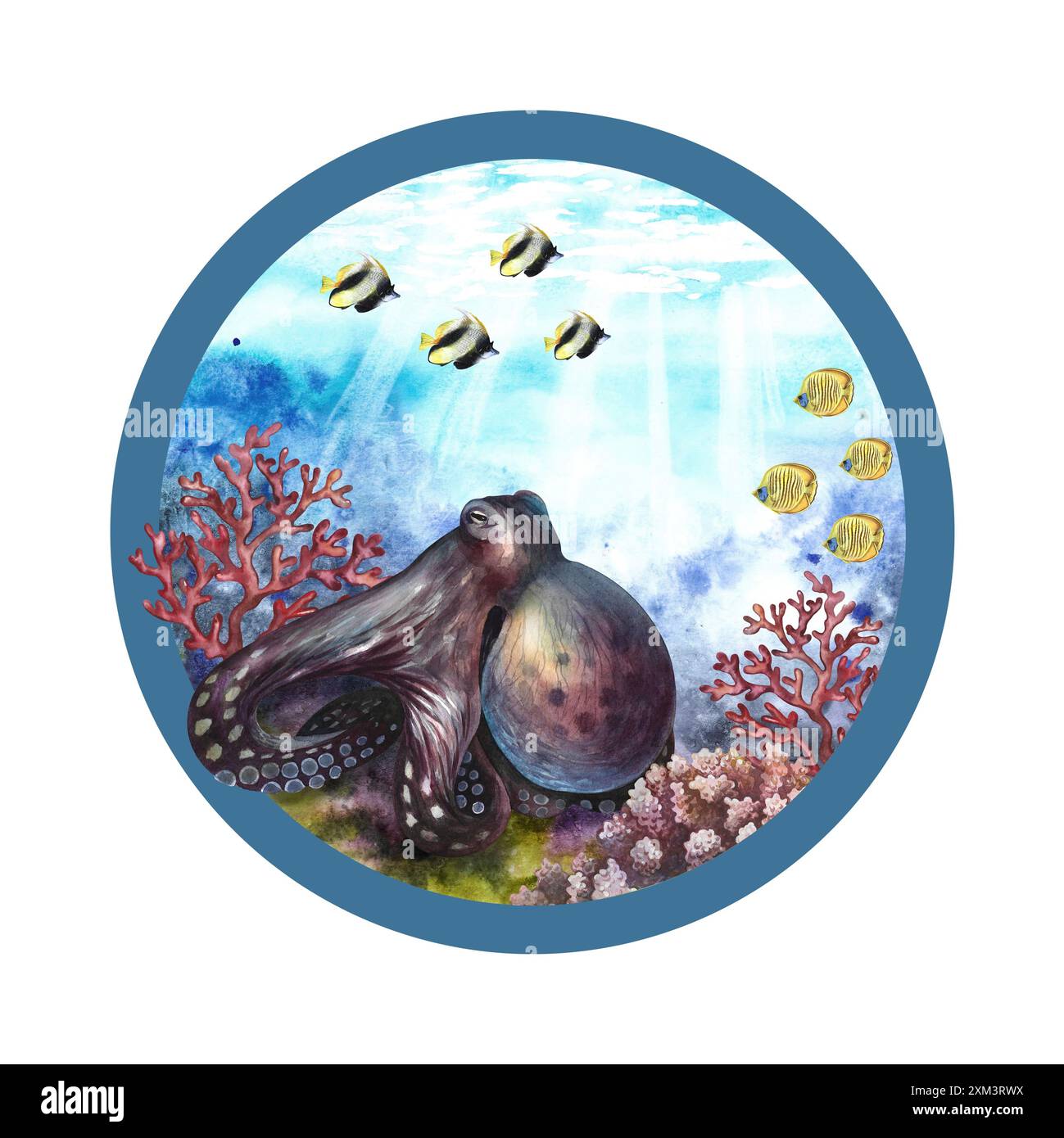 An octopus at the bottom of the sea. The underwater world in a circular ...