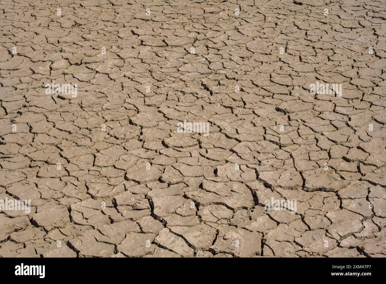 Dry cracked earth in a desert landscape, showcasing the effects of ...