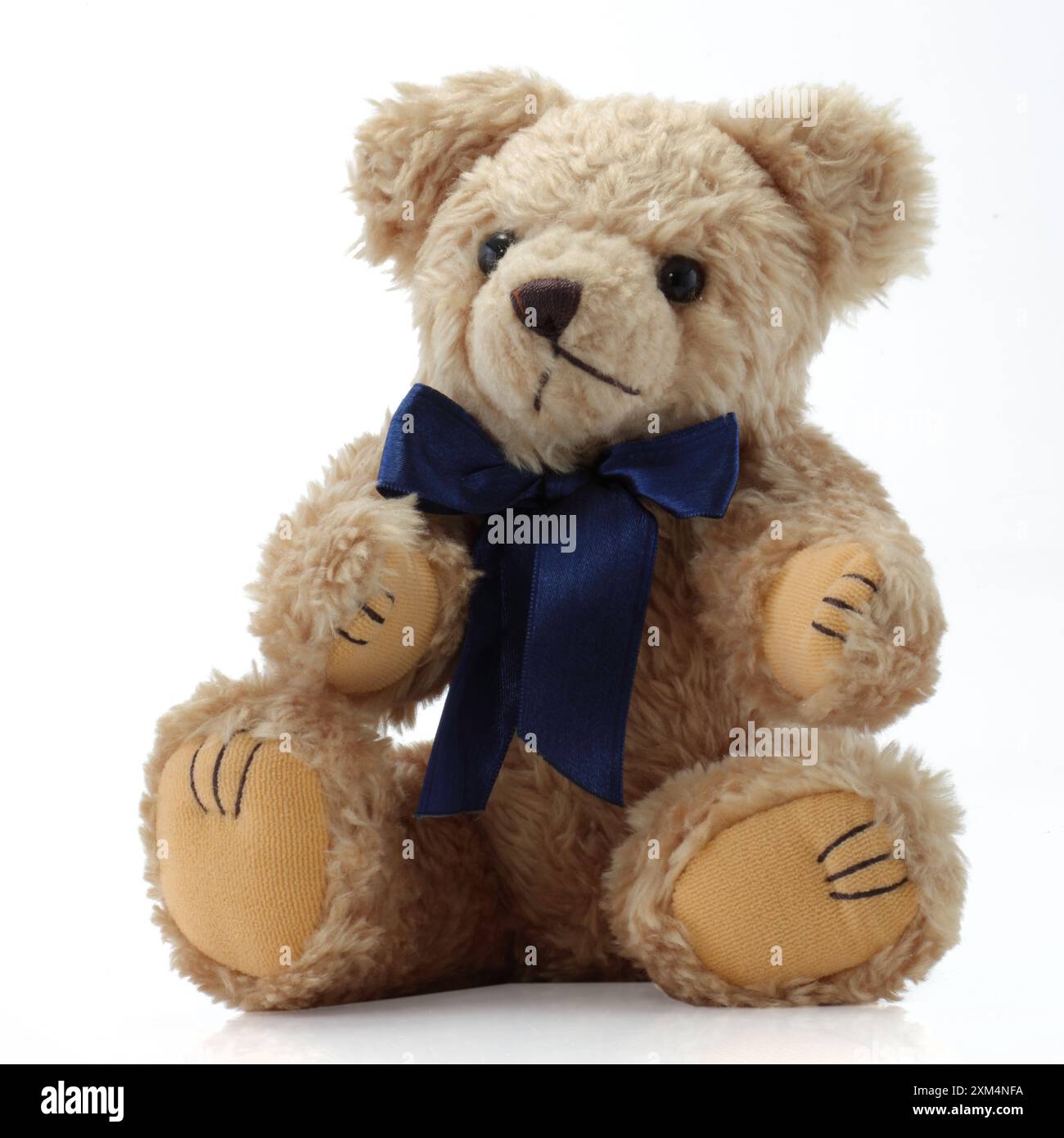 Drawing a teddy bear hi-res stock photography and images - Alamy