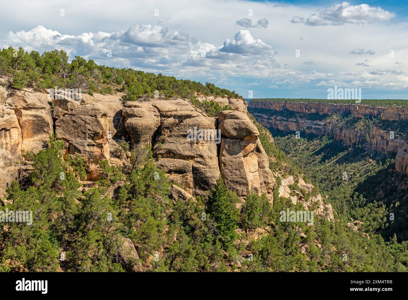 Green table mountain and canyon, Mesa Verde national park, Colorado, USA. Stock Photo