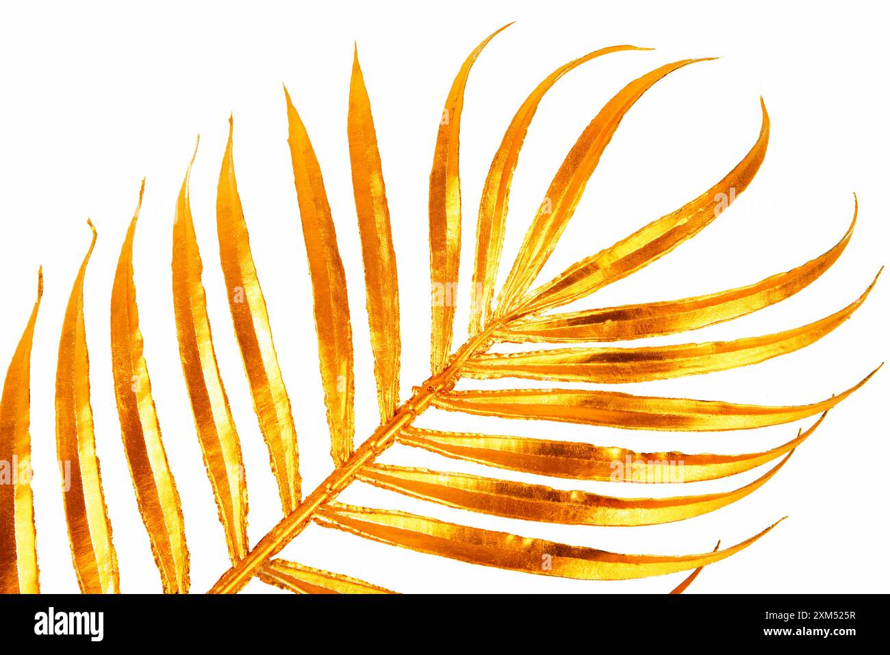close up of the golden palm branch leaf Stock Photo - Alamy