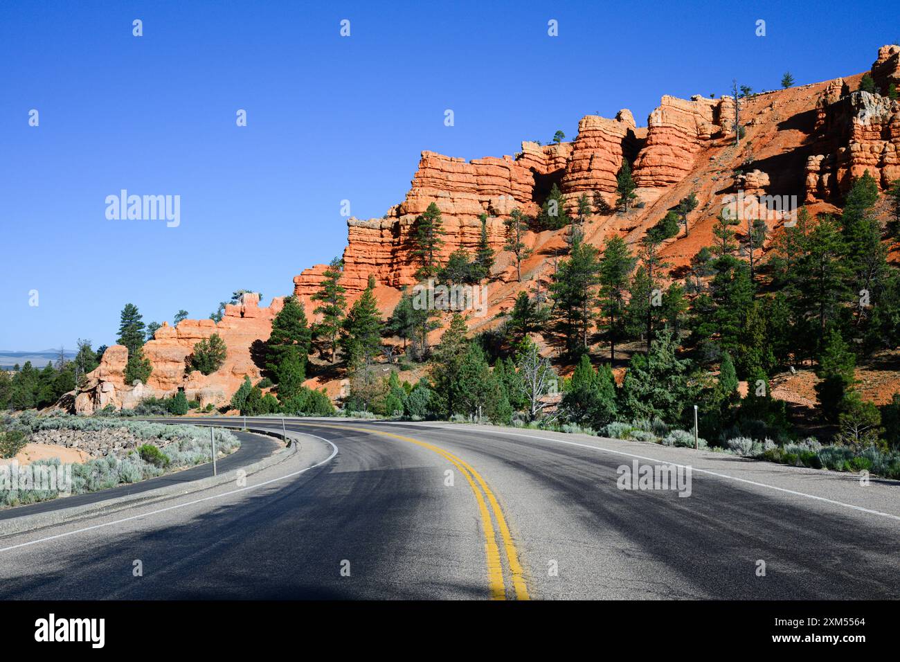 Highway 12 passing through Red Canyon with red cliff and trees in Utah Stock Photo