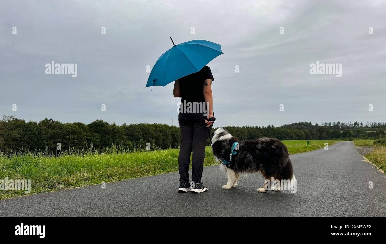 Eine Frau geht mit einem blauen Regenschirm und ihrem Hund einem Australian Shepherd spazieren. Am fruehen frühen Morgen sind bereits dunkle Wolken am Himmel und es regnet wie hier bei Siegen-Oberschelden. Auch der kommende Samstag soll wieder sehr verregnet sein. Sommer im Siegerland am 26.07.2024 in Siegen/Deutschland. *** A woman goes for a walk with a blue umbrella and her dog an Australian Shepherd In the early morning there are already dark clouds in the sky and it is raining like here near Siegen Oberschelden The coming Saturday is also expected to be very rainy again Summer in Siegerla Stock Photo