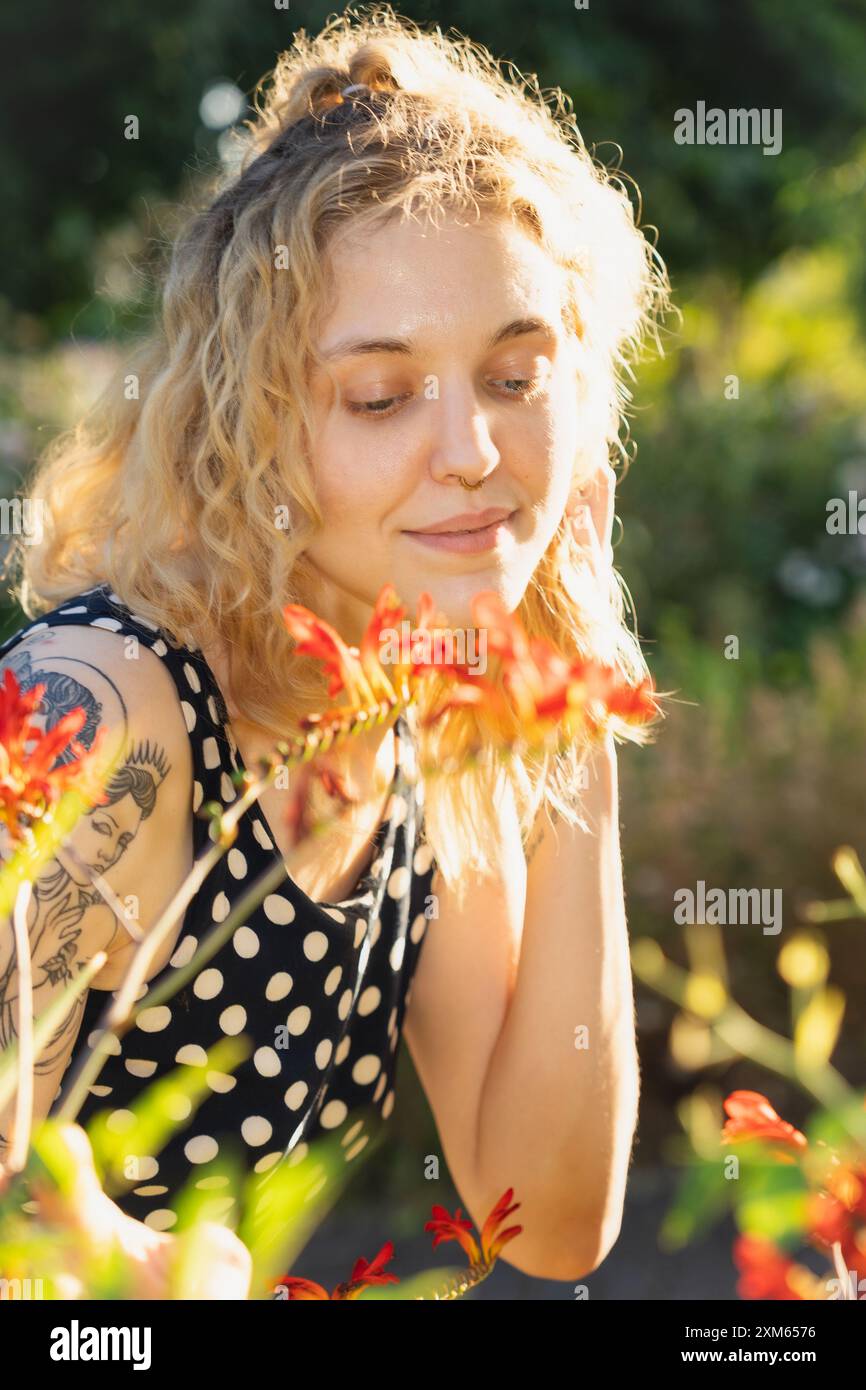 Backlit sun model hi-res stock photography and images - Alamy