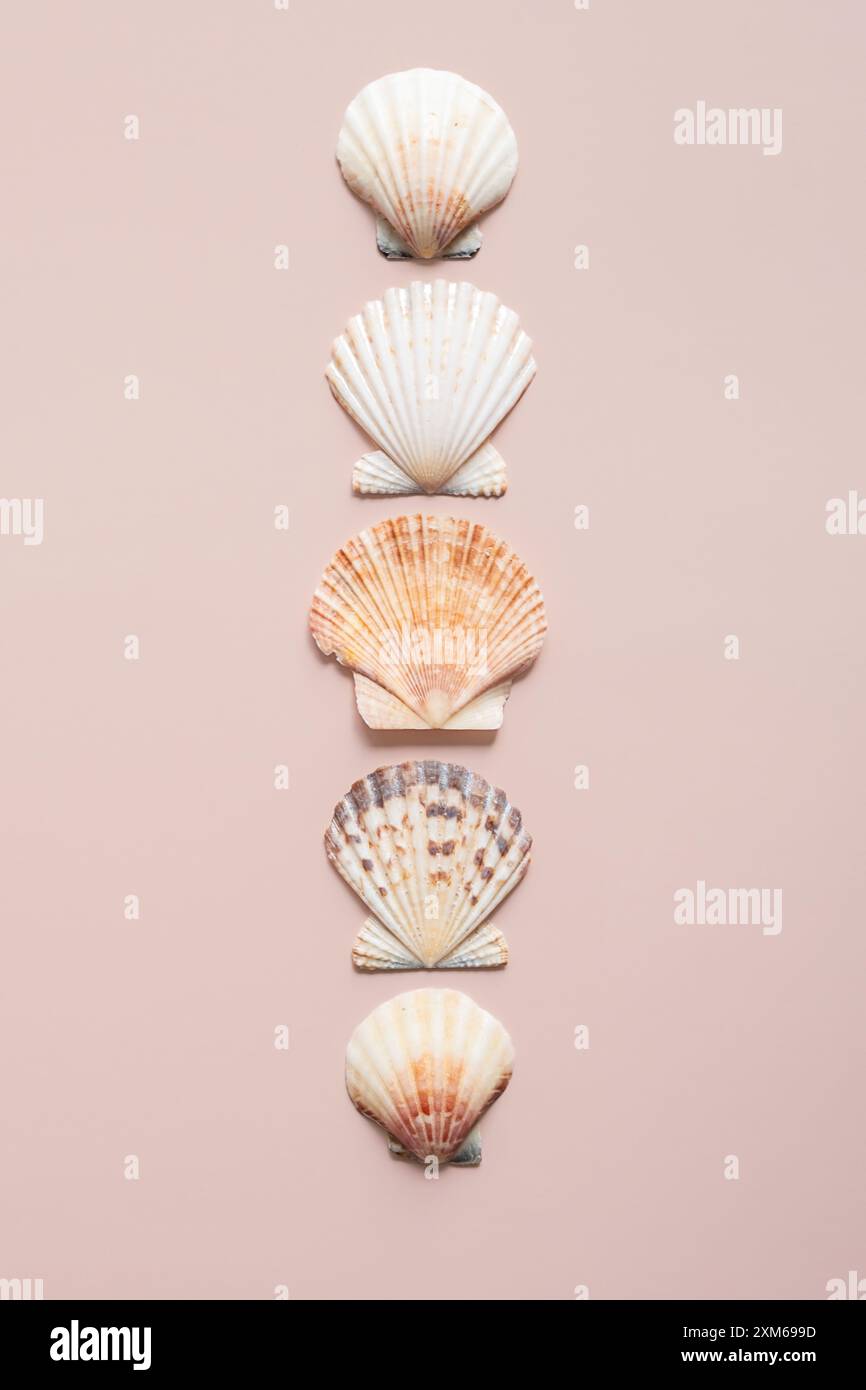 Arranged things hi-res stock photography and images - Alamy