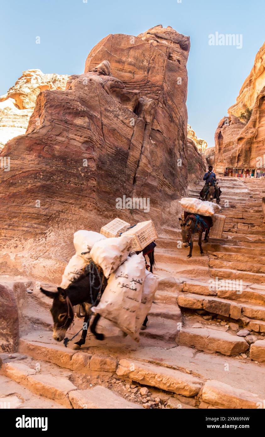 Donkeys laden with goods descending the Monastery Trail, UNESCO World Heritage Site of Petra, Jordan Stock Photo