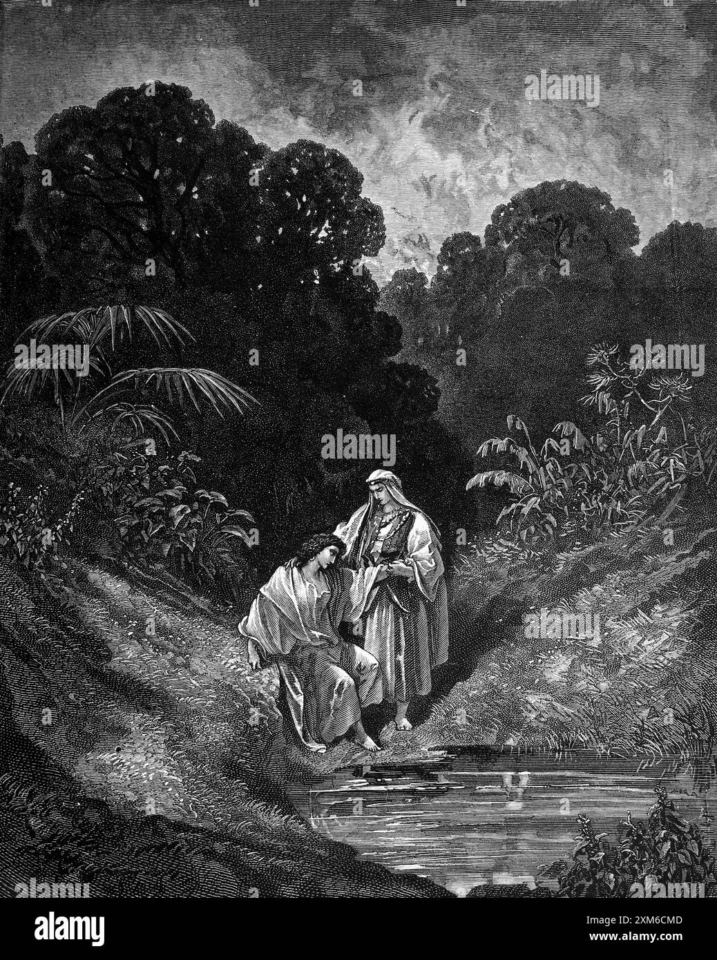 Kill wood Black and White Stock Photos Images Alamy