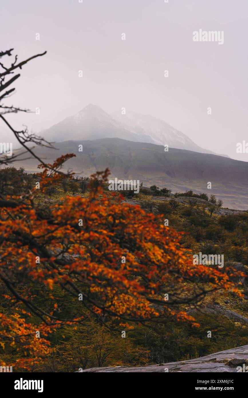A mountain range covered in snow and trees with leaves on the trees ...