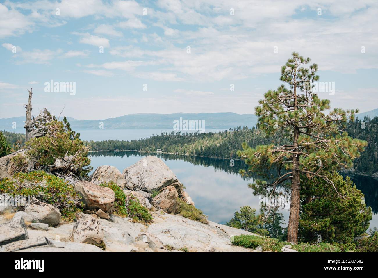 A lake view with mountains and pine trees in the distance Stock Photo ...