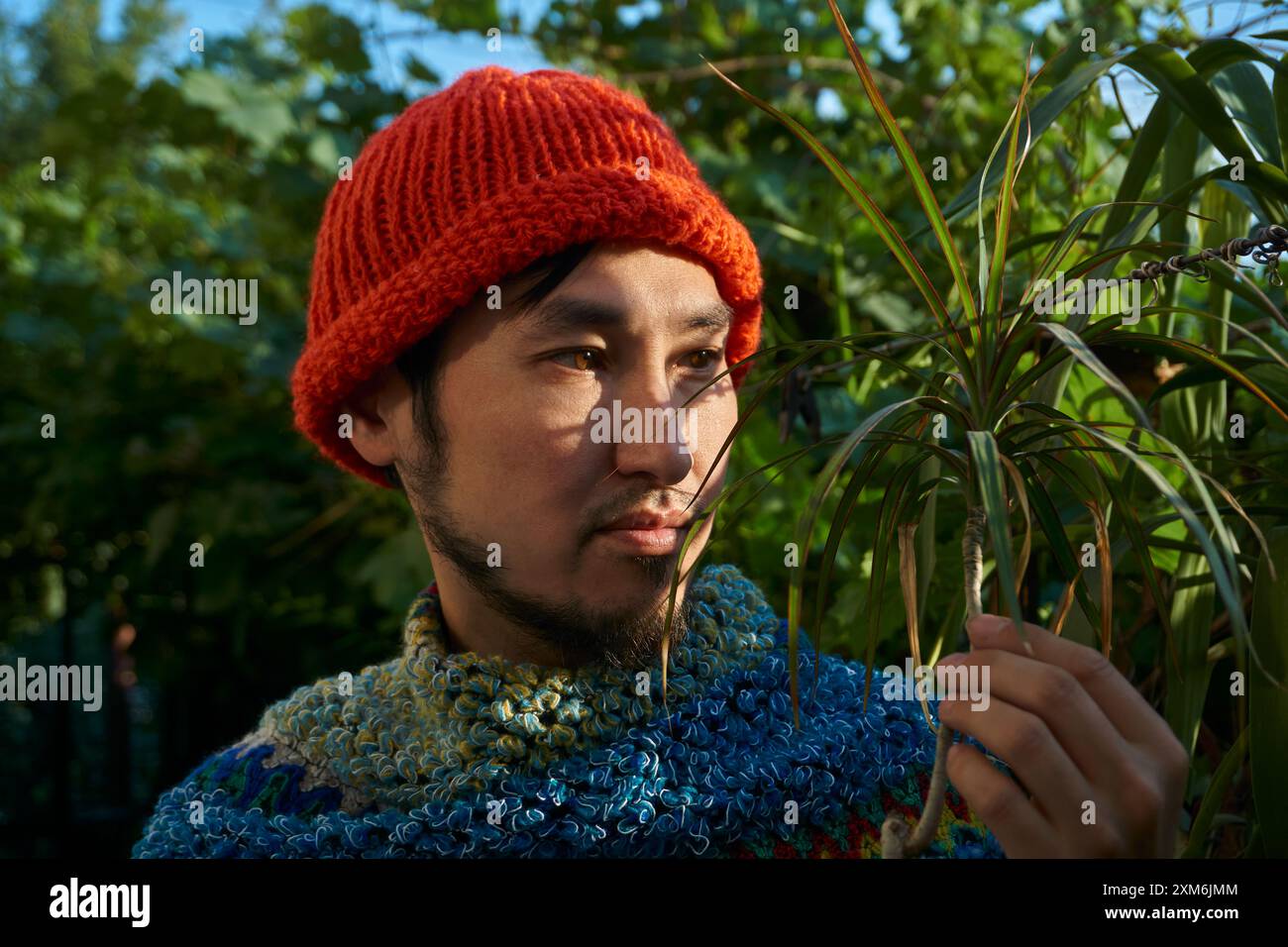 man in a poncho looks at a plant Stock Photo