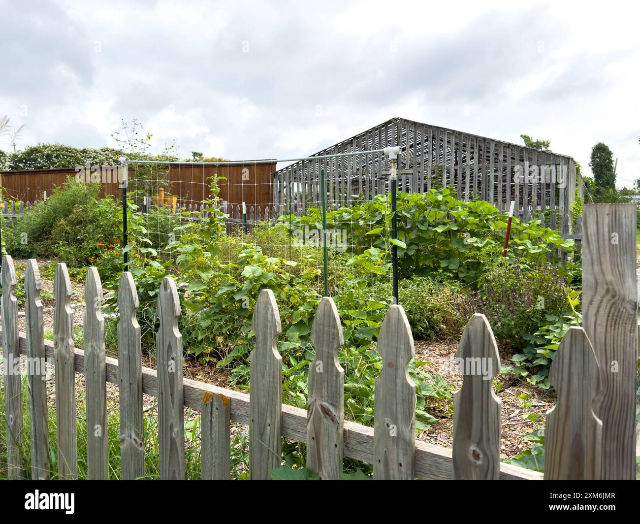 Wooden greenery hi-res stock photography and images - Alamy